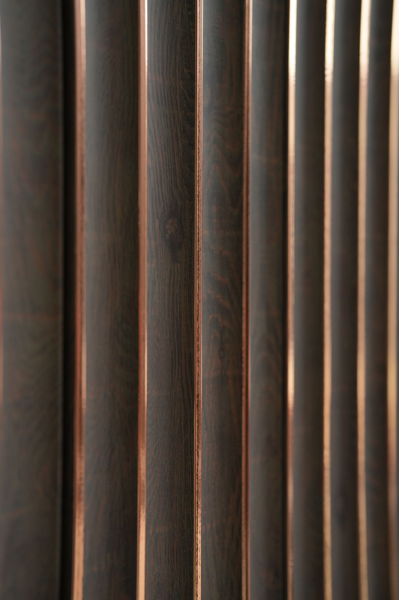 WPC Panel - PS Gold line - Brown