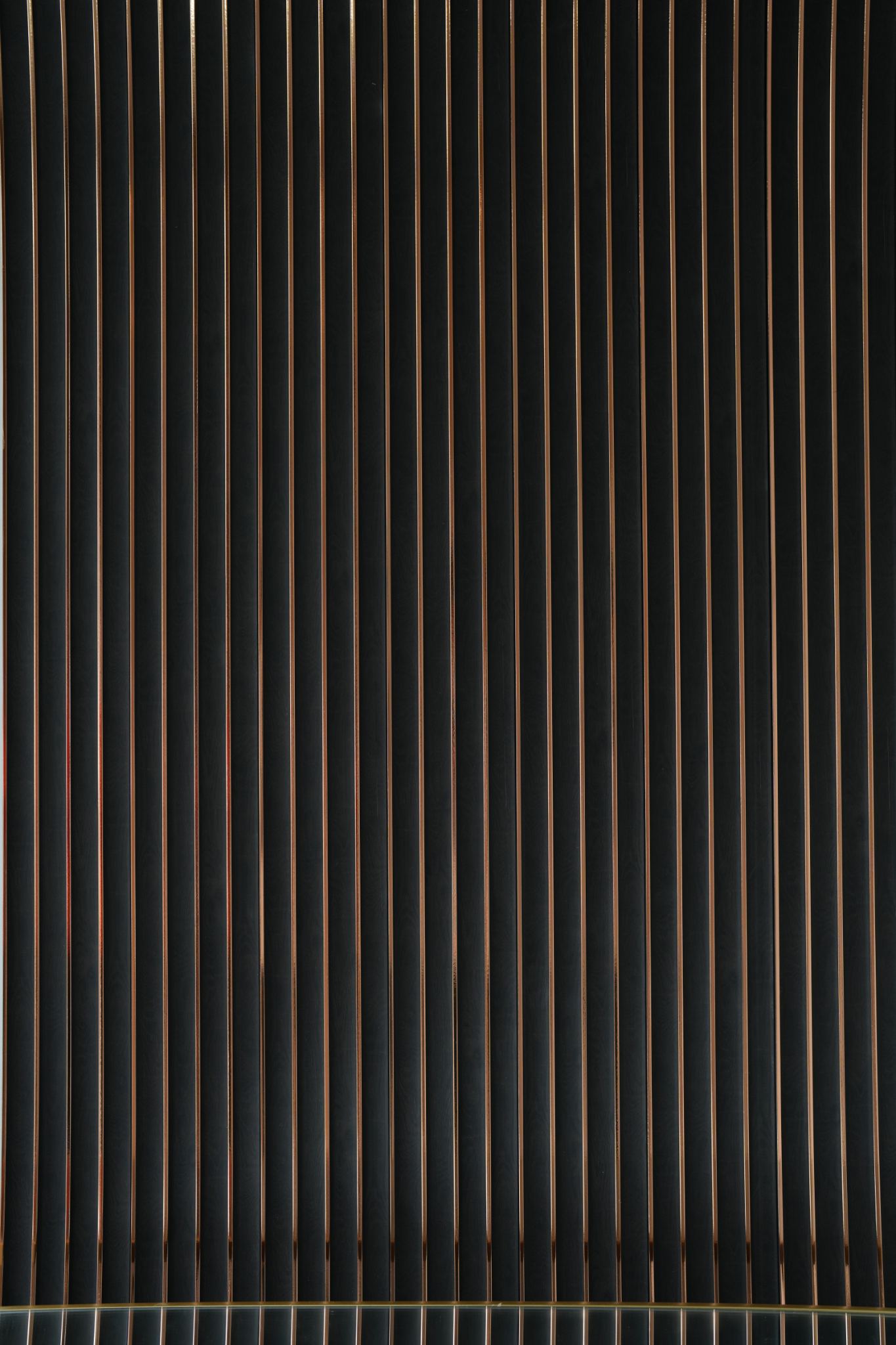 WPC - PS Golden line Black