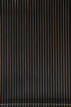 WPC - PS Golden line Black