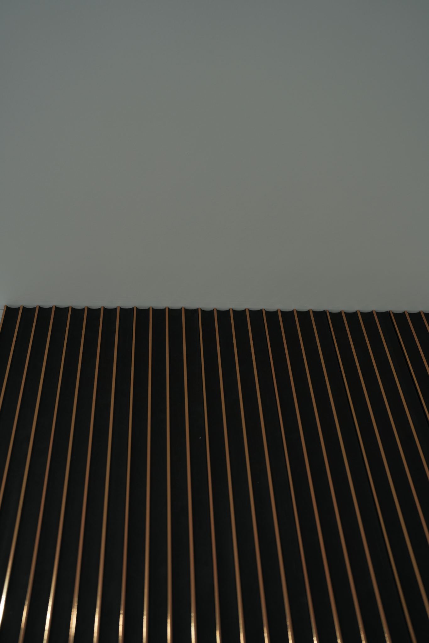 WPC - PS Golden line Black